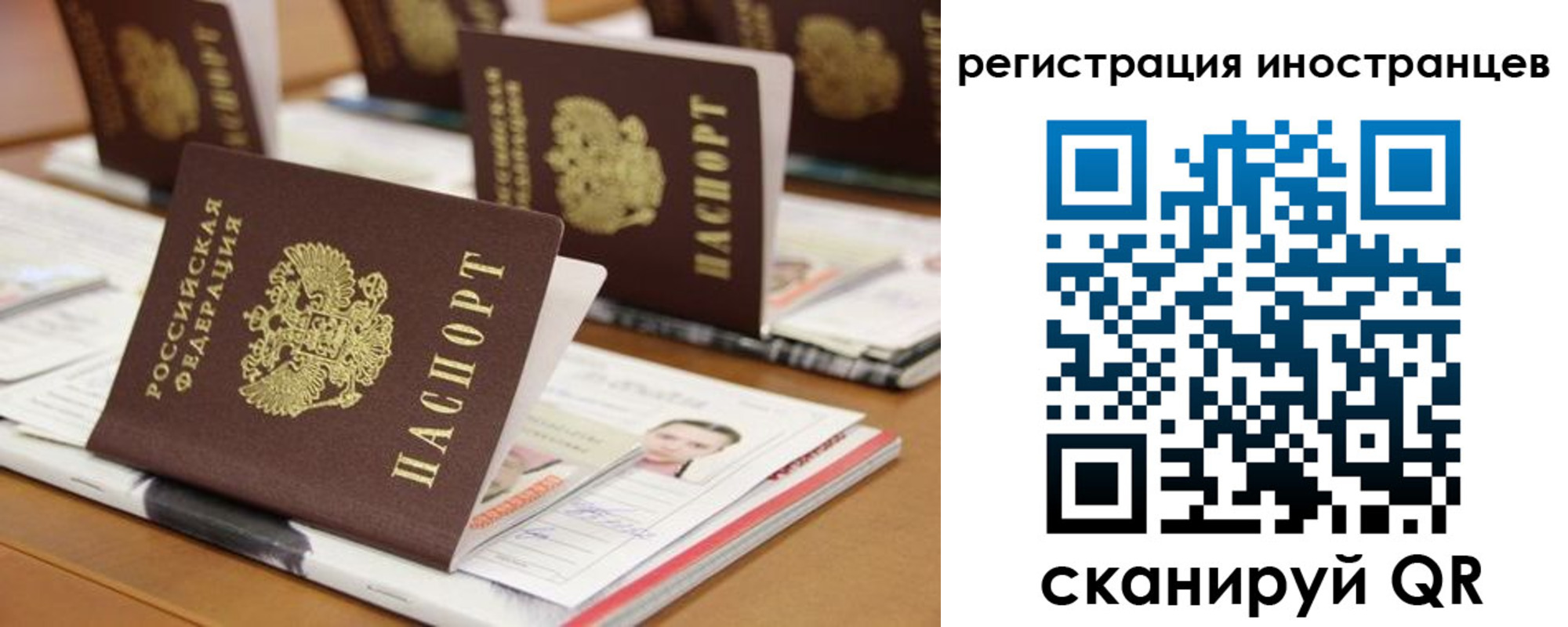 прописка для работы в Волгоградской области